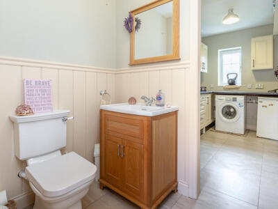 Picture 16